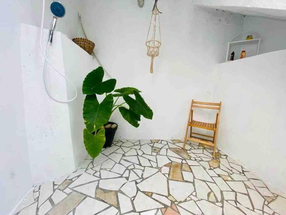 豪特尔Habitation Nala Proche Bourg公寓 外观 照片